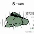 瓜哥娱乐吃鸡视频大全,精彩瞬间回顾