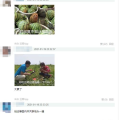 娱乐吃瓜大v,吃瓜大V带你探秘明星幕后故事