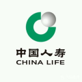 中国人寿财险查询,中国人寿财险查询服务指南与操作流程”