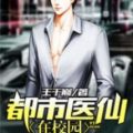都市医仙在校园,校园里的传奇医术传奇